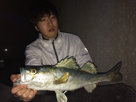 pzr4udoi54tmya2od8pm_920_690-380e928f.jpg