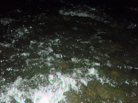 pzrvm9cgpfgr8d2ei65a_480_480-6ebe75d3.jpg