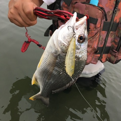 r247c4s9d9tswharactb_920_920-e29d3d08.jpg