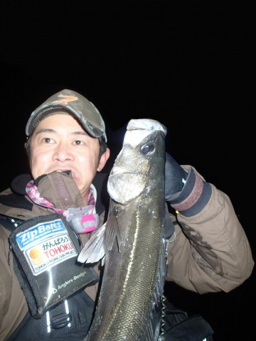 r2b7pehyoba62uwcodr6_480_480-21f306df.jpg
