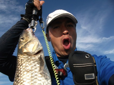 r2dds7kk93w4uf6pprw6_480_480-0271aded.jpg