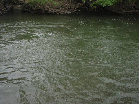 r2u5js958bif8k34hcwh_480_480-ac88f387.jpg
