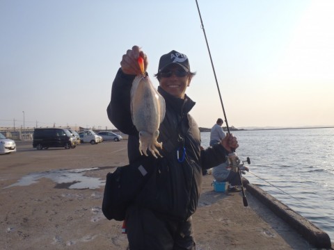 r2yxpxjse65458adu32m_480_480-fc61757f.jpg