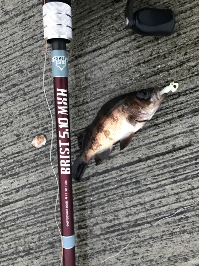 ブリストMXHを握り締め、いつもの防波堤へ - Fishman（フィッシュマン）