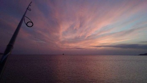 r47cmesiyzgpihcwbi2j_480_480-a30798de.jpg