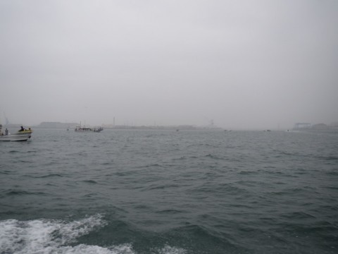 r48ehuggyu5b2hapc954_480_480-e0a780b7.jpg
