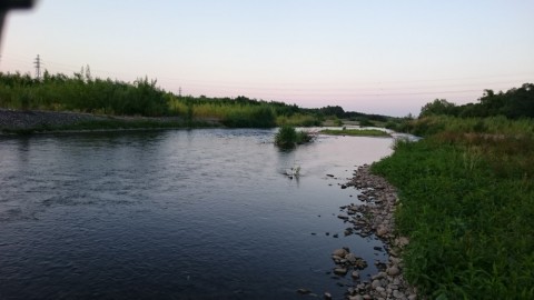 r4h3v7hdwoazm847pz3s_480_480-05273743.jpg