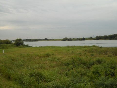 r4imzczp2iojs4n7piei_480_480-7cd80eed.jpg