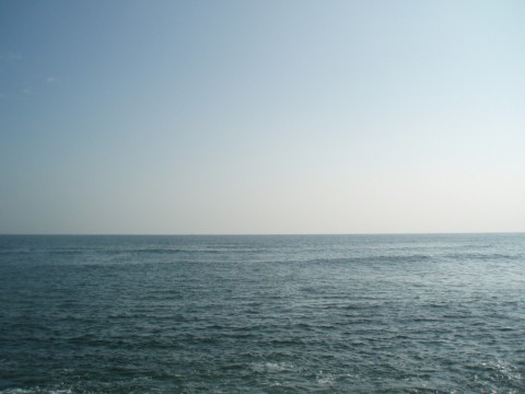 r527bgm6bhxh4madrztx_480_480-f1a2b836.jpg
