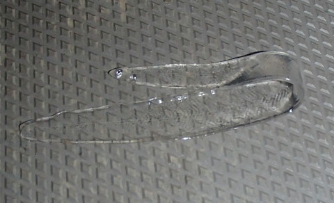 r59drh3wndymmexg5aoz-7e535388.jpg