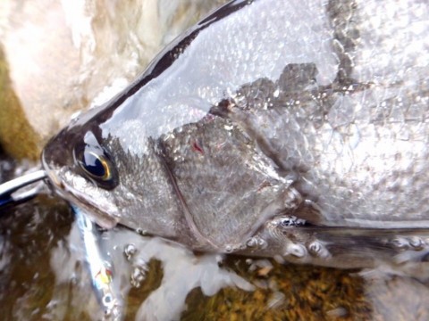 r5je7raoexg78bay7ghm_920_690-c91328c1.jpg