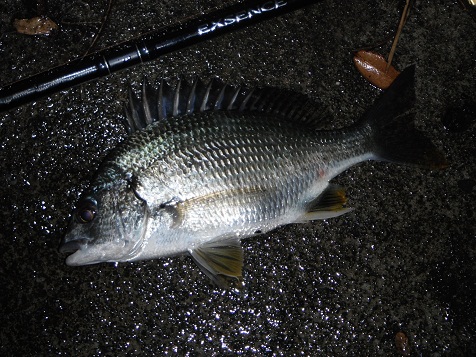 r64fz63skamd5vy89ig8-dc3700ba.jpg