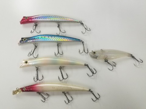 r6jp984jagoirozssv8b_480_480-50c0f3c3.jpg