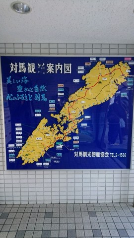 r6kg77h8w4or3fbvhvni_480_480-ea9b7fe8.jpg