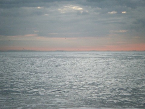 r6oskwwrc6s64zki9sne_480_480-af0af88b.jpg