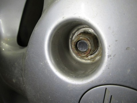 r6s28ck8o76x6znjd7kt_480_480-236010a8.jpg