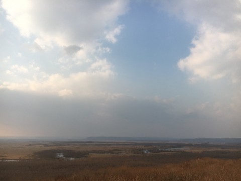 r76sxj55bnhvh8emhzha_920_690-be08936e.jpg