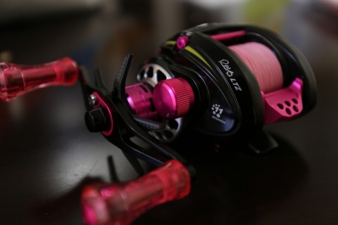 r7djro53pv7m9y5yddwz_480_480-4ac8ff36.jpg
