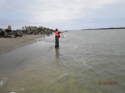 r7foamath786g7f72fna_480_480-72be383a.jpg