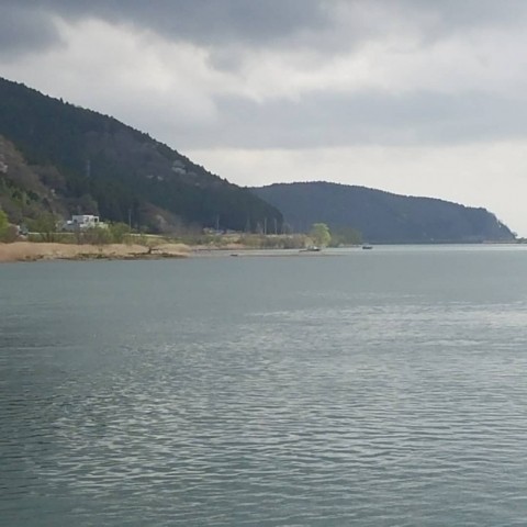 r7jdfar8w7jjiu6i9x9s_480_480-216810b9.jpg