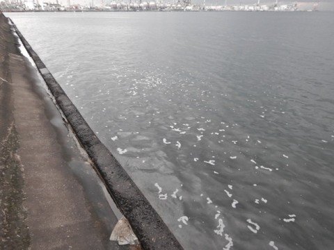r7pojyookt8y58v5zcrk_480_480-eb122076.jpg