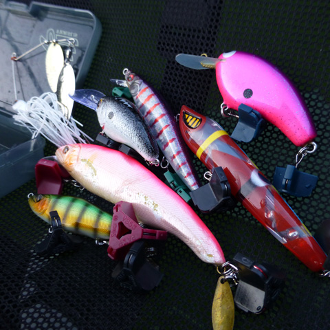 r7tkxegyr6gw8efsyzd8-009b4a0a.jpg