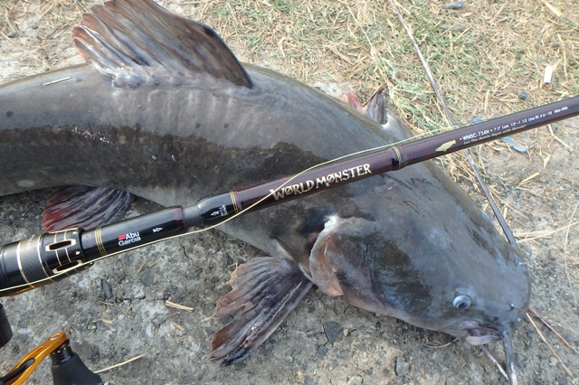 Pure Fishing Japan Saltwater Blog タイ怪魚ツアー その1 Pure Fishing Japan Saltwater Blog タイ怪魚ツアー その1