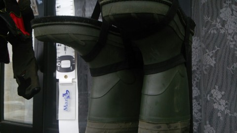 r84ysf2uytfb8pv7ujap_920_518-5e929e0f.jpg