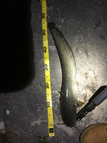 r86adbmj6iynjiddtbob_690_920-daa6b829.jpg