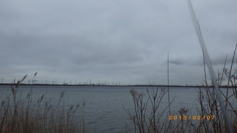r8thw3aftrrb6chxnpoi_480_480-5ae2ab73.jpg