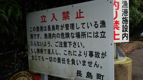 r92xhko3yn36ffgy3vo4_920_518-c146d79e.jpg