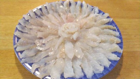 r95px9iiupzhs9ootr5f_480_480-dc186b0a.jpg