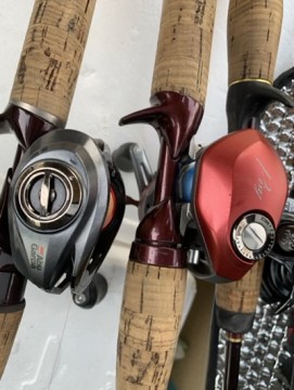r9ikejr6kemtskksimsi_361_480-bf6a76b0.jpg