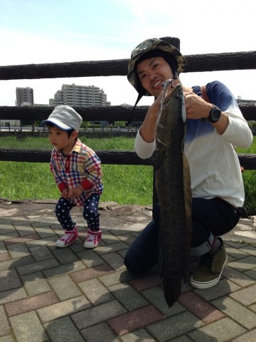 r9rkna2n8xf2odewwo7g_690_920-19b486f8.jpg
