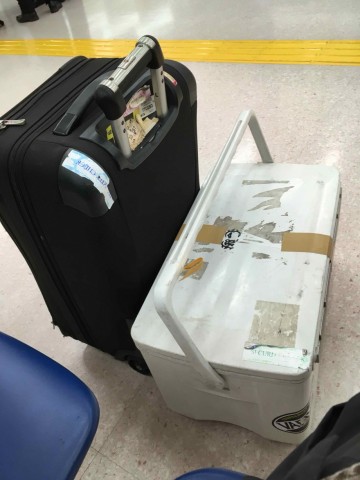 r9rxnwbosiuxpaku5cw5_360_480-6951da98.jpg