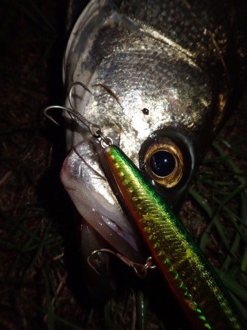 r9supfw34dur5mzvhbfr_690_920-051d93c0.jpg