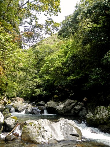 r9t9rptdm73yrefrpuwn_480_480-d8741c06.jpg
