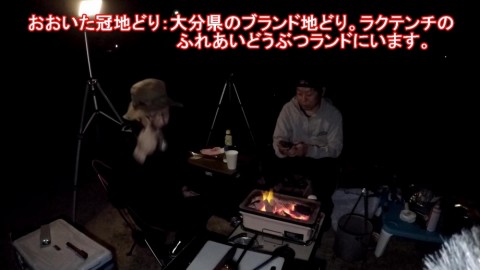 r9ubgffscrf96jgfivzh_480_480-6e2ffbc8.jpg