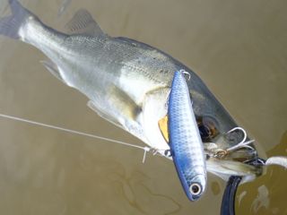 r9xgcbfcubkg8bzn85d7-214e2c31.jpg