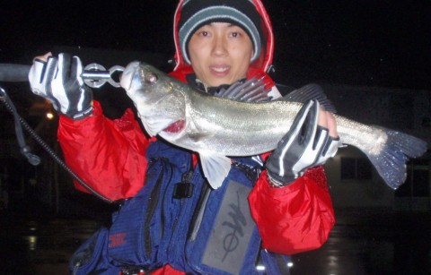rYgJ2Dzx3gMdhuP74Z5e_480_480-8387984f.jpg