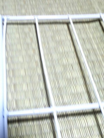 ra3s434ny6zcxa5s3kta_480_640-52959404.jpg