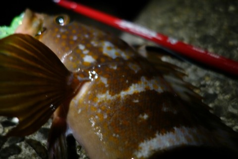 raenkj9nzgm7jdapu682_920_615-d0ca2f40.jpg