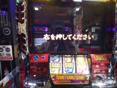 ragb7h7ydkrmt5eoa24r_480_480-a92ee84d.jpg