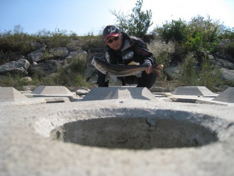 ragrfym625uvio8mkokd_480_480-f824b060.jpg