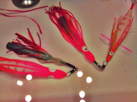 raiiopks4p7h4yw8mjdw_480_480-876a3663.jpg