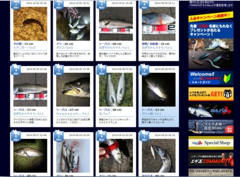 rak2vgucorws9xrted2n_480_480-17eef3ab.jpg