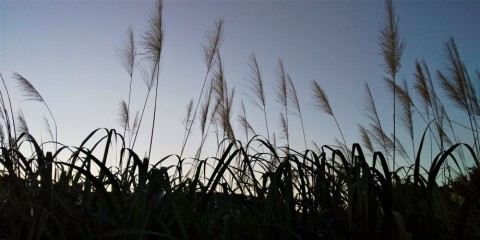 ras2jb86ygk23evxfj3w_480_480-c7ce6617.jpg