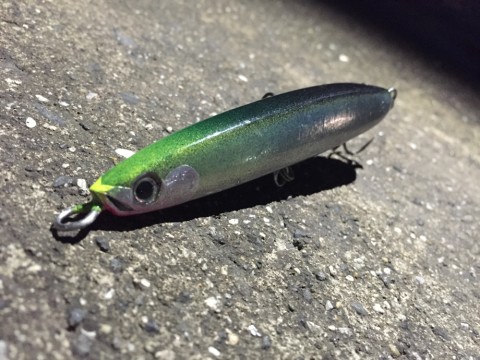rat899tibxe22xv3vnnw_920_690-e956e8e9.jpg