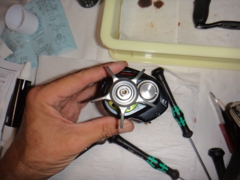 raw7gihgkwytkt9ipdwj_480_480-2dbb2fd8.jpg