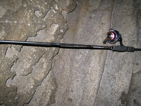razspi2ofg2ap4mtcvp7_480_480-b9cdfd84.jpg
